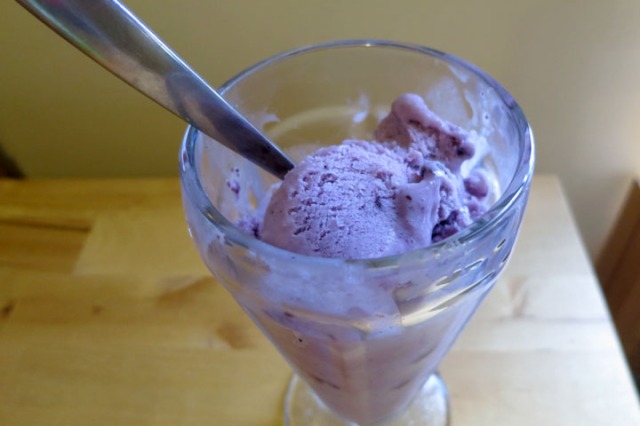 blueberry ice cream(2)